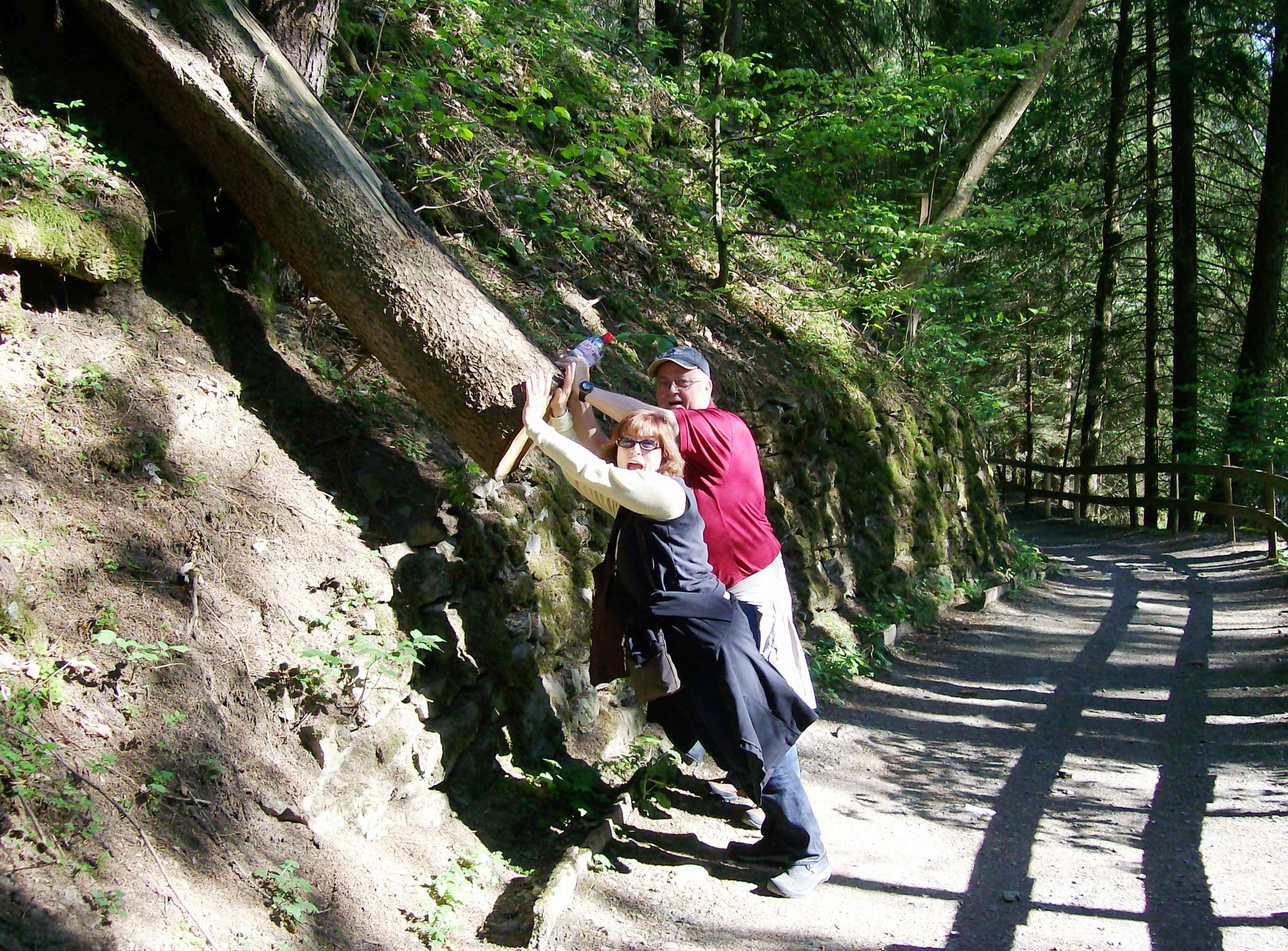 Switzerland 2011